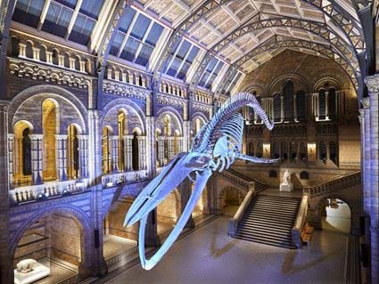 Natural History Museum